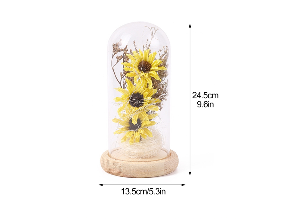 Flor Preservada Girassol com Led Domo de Vidro Presente
