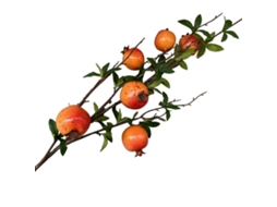 Laxiscreed Flor Artificial De Romã Para Decoração De Sala Em Casa, Ideal Para Fotografias (laranja)