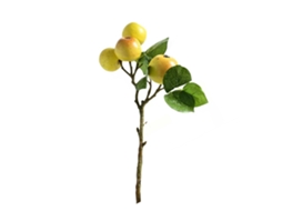 Ramos com Folhas e Frutos, 40cm, Decoração Natural LAXISCREED