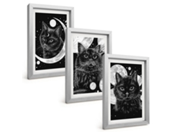 Galeria De Pinturas Muraisgatos Pretos, Lua, Espaço Moldura Prateada Fotos Para O Escritório Espelharte (3 Peças 20x30 Cm)