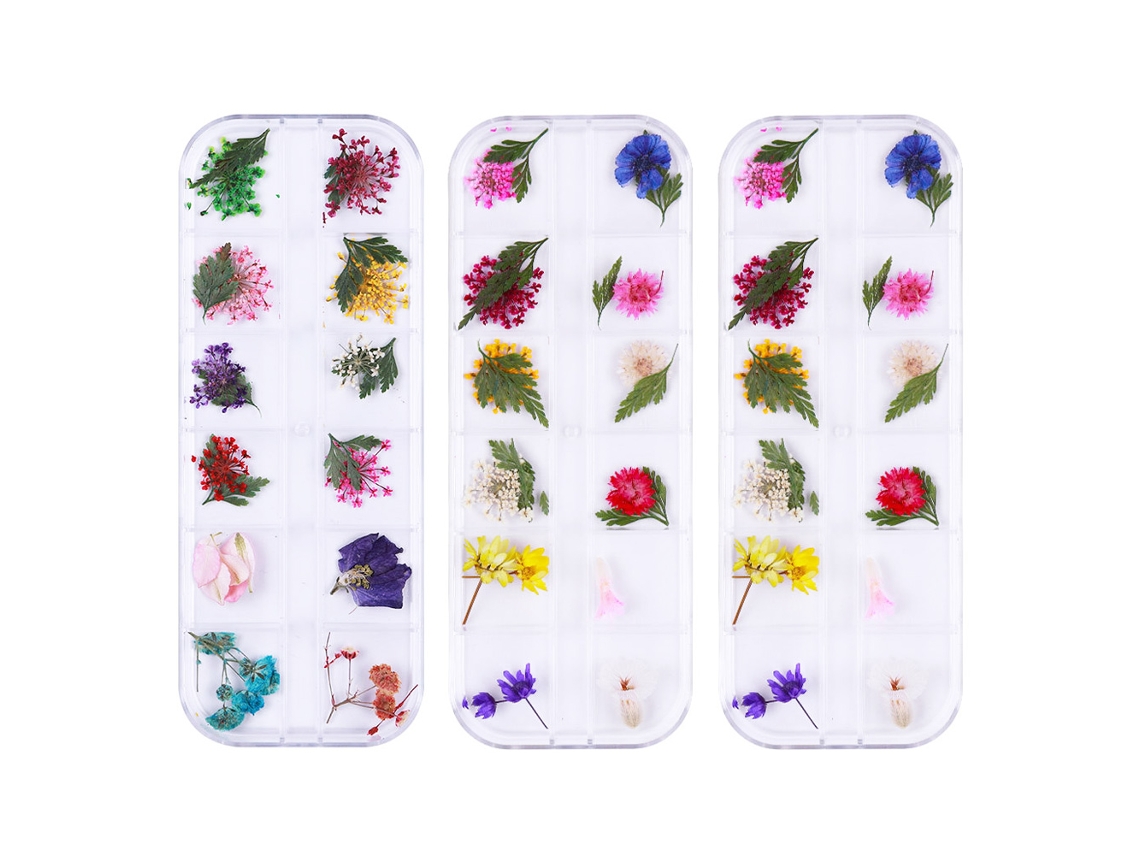 Caixa de Flores Secas em 12 Cores para Decoração de Unhas e Artesanato com Resina RNEMITERY