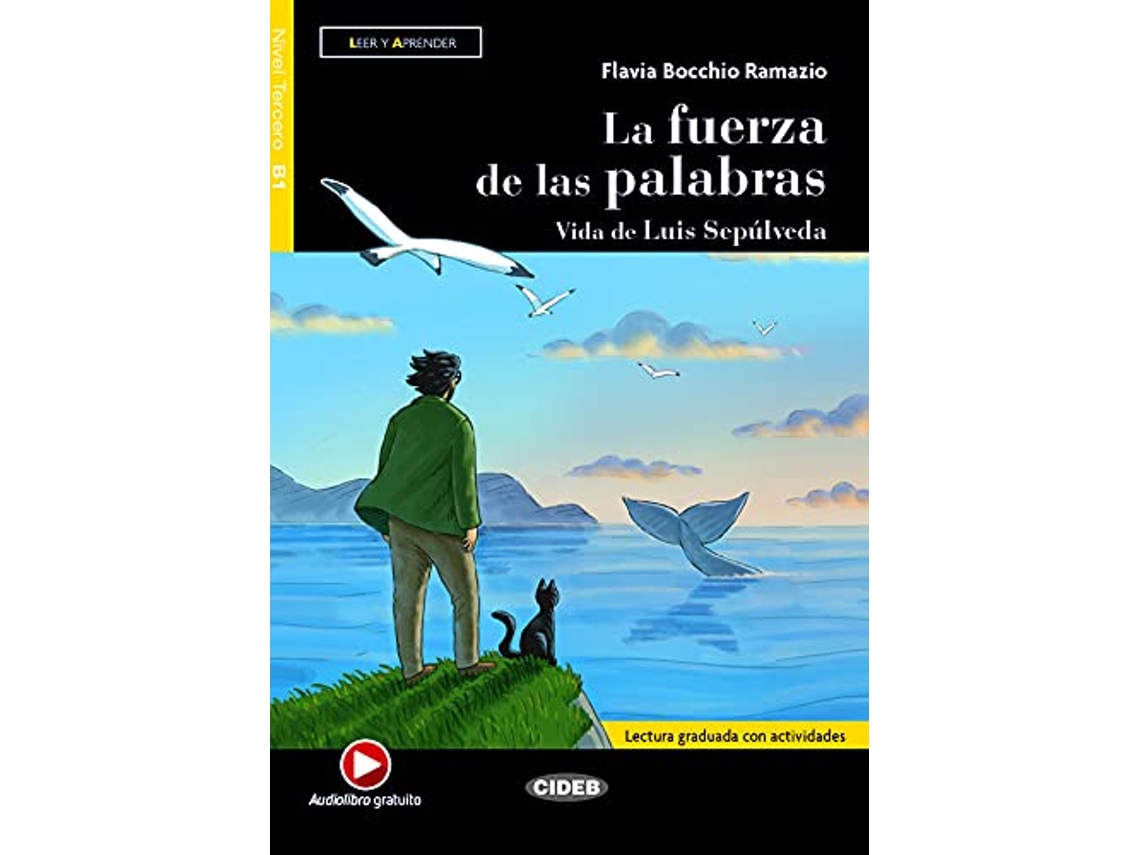 Livro Leer y aprender de Flavia Bocchio Ramazio (Espanhol)