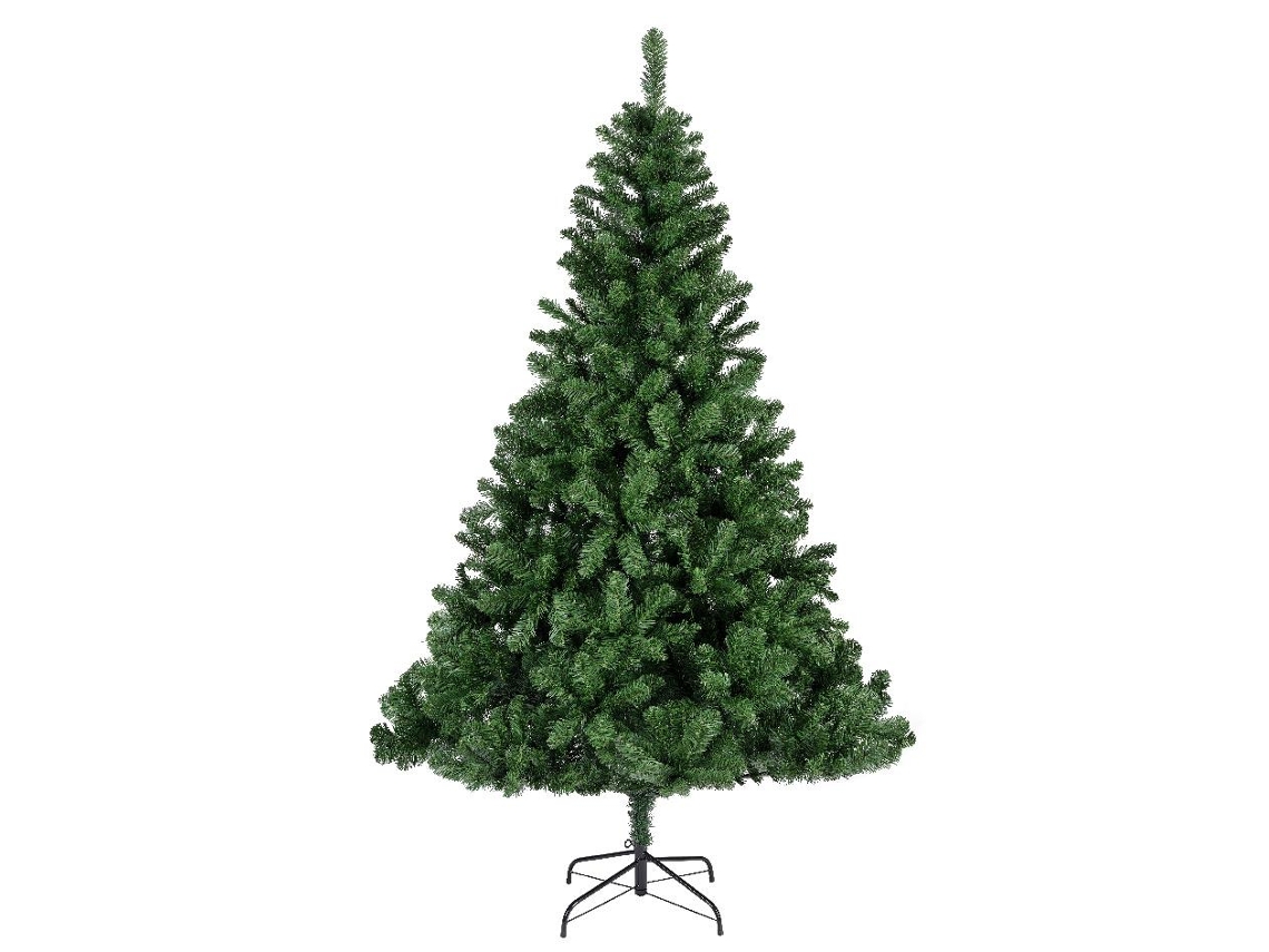 Edm Pinheiro Natal 240 Cm