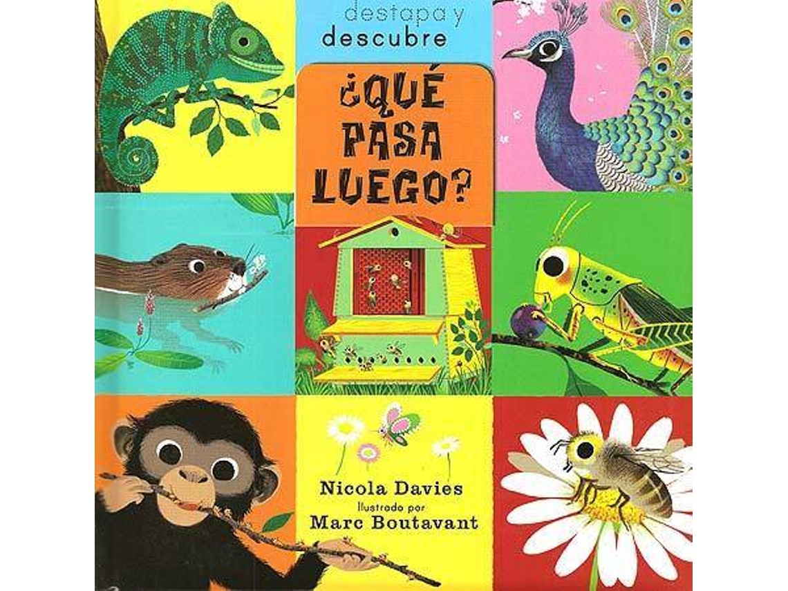 Livro .Que Passara?. de M Boutavant e N Davies