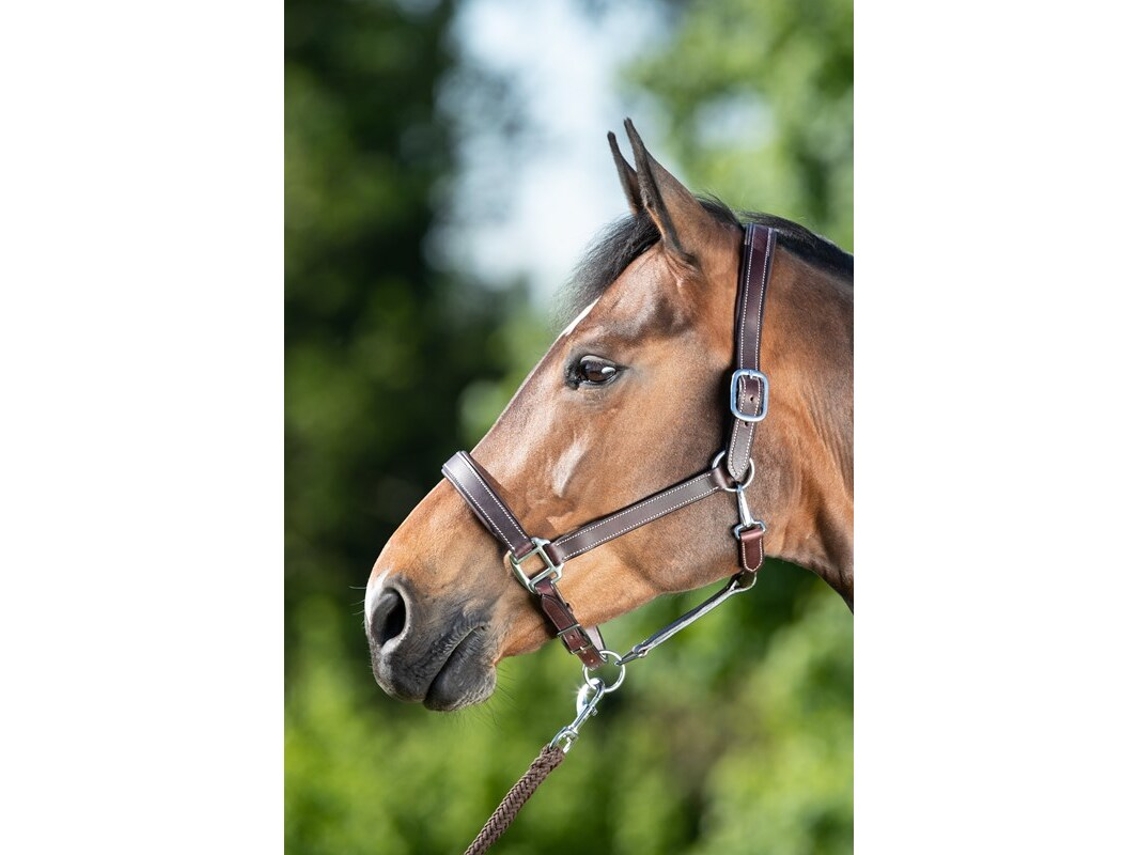 Cabresto para cavalos HFI Flat