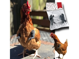 Braços De Frango Brinquedo Traje De Galo Presente Engraçado