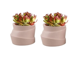 Conjunto De 2 Vasos De Cerâmica Com Forma Irregular Creativa Para Plantas Pequeñas Cactus