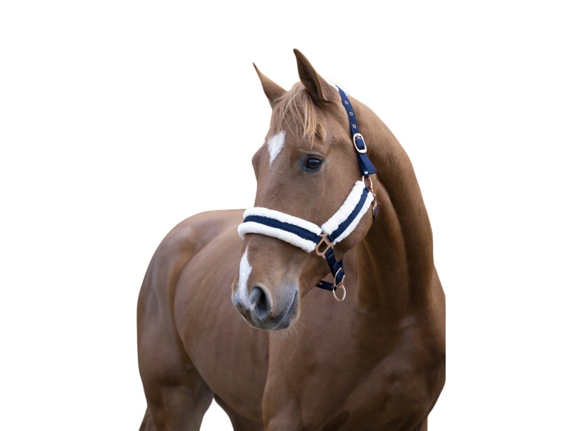 Cabresto para cavalos Norton Confort