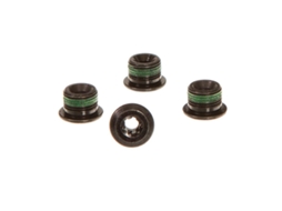 Parafusos e pernos SRAM 4-Arm E-Bike Bosch/Fazua T30