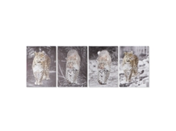 Quadro DKD HOME DECOR Leopard (50 x 1.8 x 70 cm)
