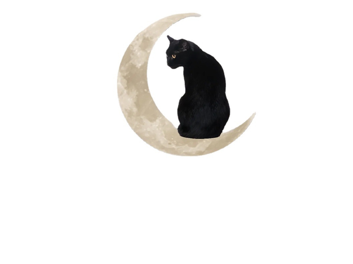 Enfeite para pendurar - Gato da Lua 30 x 30 cm