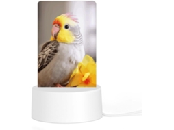 Luminária Noturna De Acrílico Com Base, Linda Luminária De Computador Com Estampa Cacatua Quarto, Banheiro