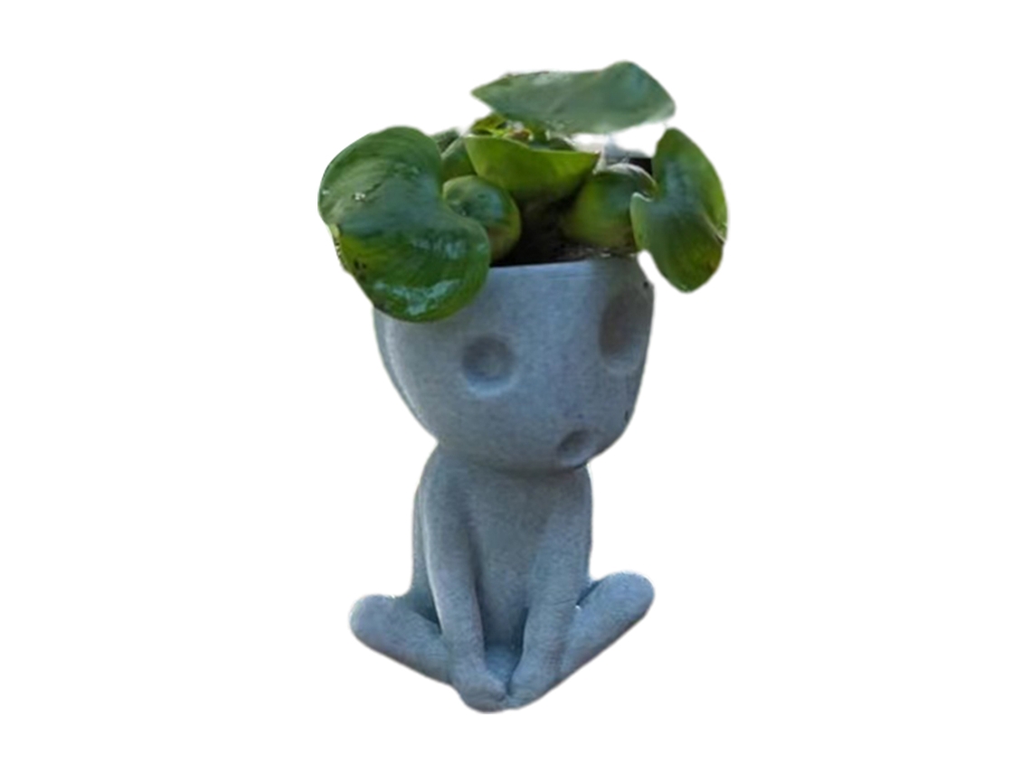 Vaso de Resina com Rostinho Luminoso para Suculentas