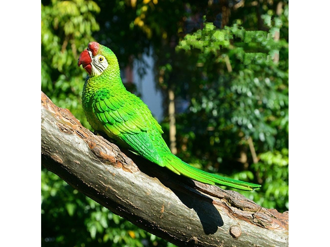Oiseaux Decorativos, Décorations D'oiseaux Tropicaux De Jardin,