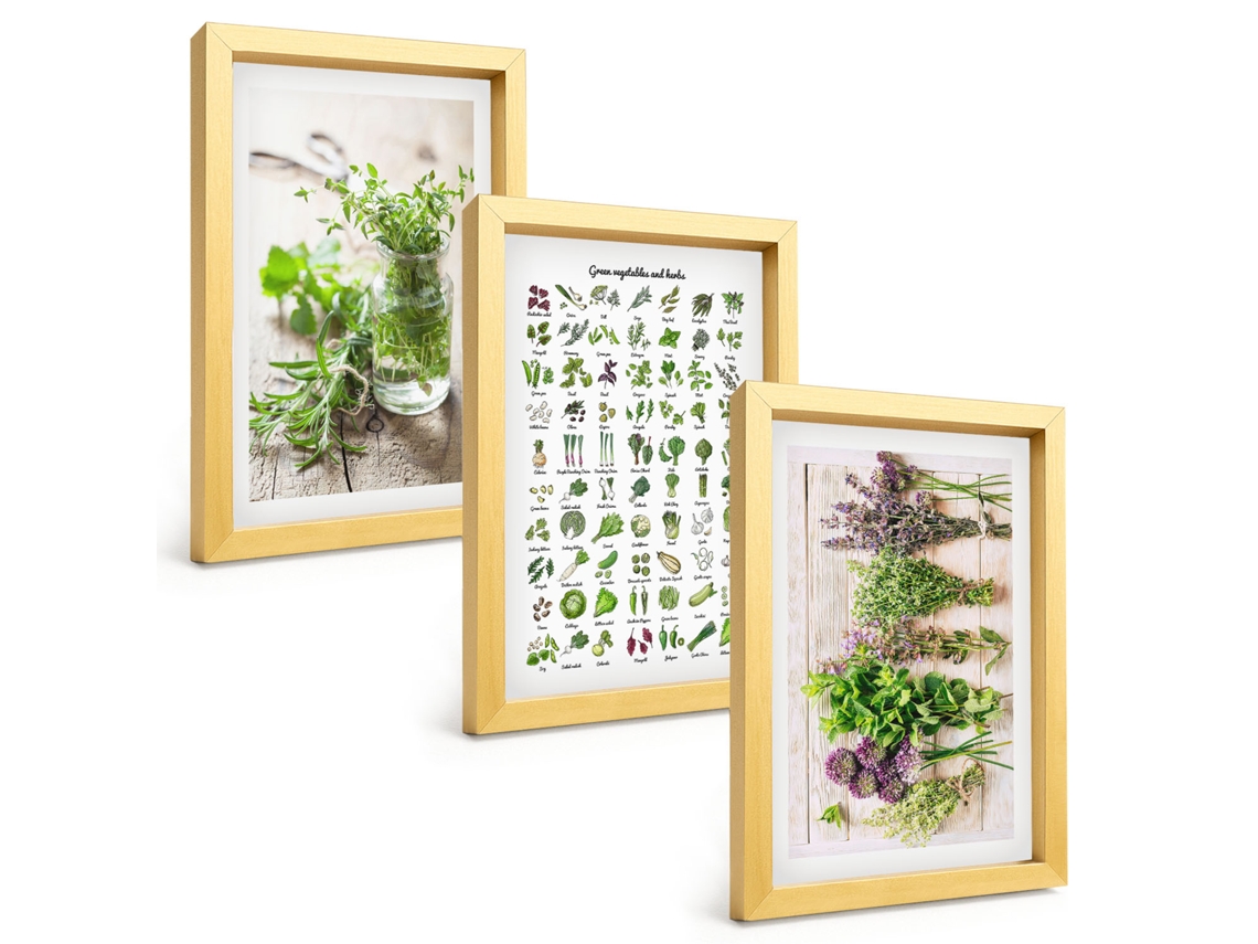 Um Conjunto De Imagens Decorativas Em Uma Molduraervas Secas Para A Cozinha Moldura Dourada Pinturas De Quarto Espelharte (3 Peças 20x30 Cm)