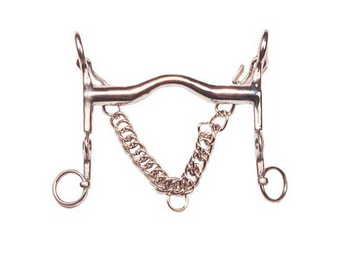 Porta Fixa e Corrente em Aço Inoxidável Mordeu Polo Dourado 14 Cmmarjoman Distribucion