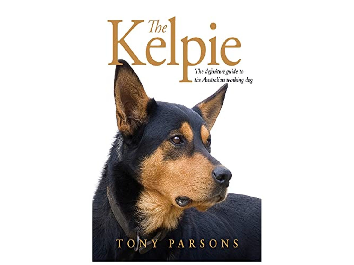 Livro Kelpie de Tony Parsons (Inglês - Capa Dura)