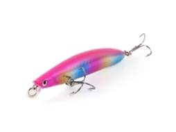 Isca Artificial Minnow Heng Jia 9.5cm
