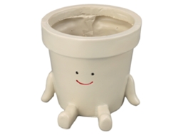 Vaso De Flor Adorável Com Rosto De Resina Para Succulentes Jardim