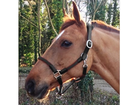 Cabresto e corda de couro para cavalos Cavaletti Tara