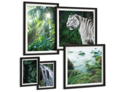 Conjunto De Pinturas Natureza Tropical Animais Espelharte (5 Peças)