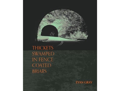 Livro Thickets Swamped in Fence-Coated Briars de Evan Gray (Inglês)