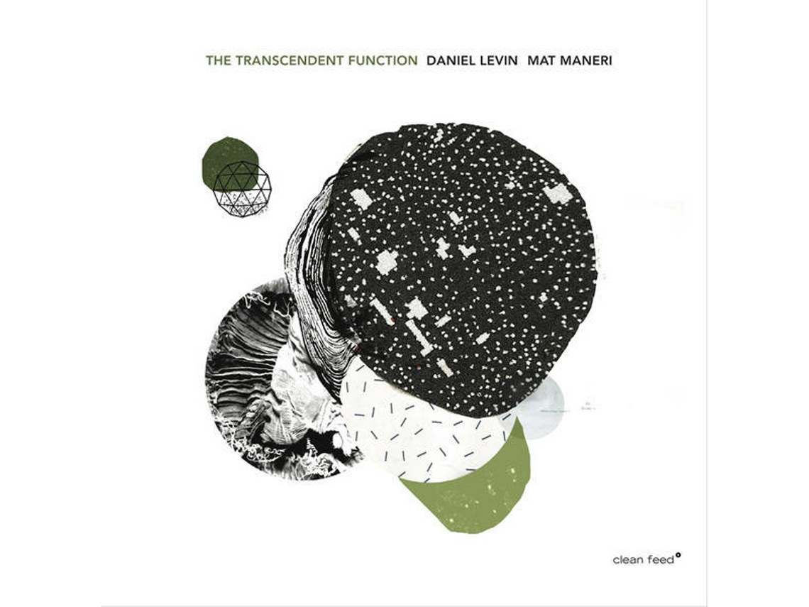 CD Daniel Levin  / Mat Maneri - The Transatlantic Move (1CDs)