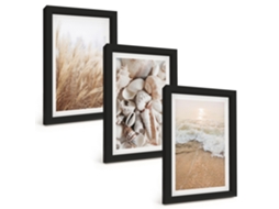 Composição De Quadros Motivos De Praia, Conchas, Ondas Espelharte (3 Peças 20x30 Cm)
