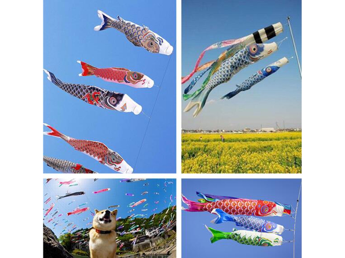 3m Blue Koi Nobori Eoocoo