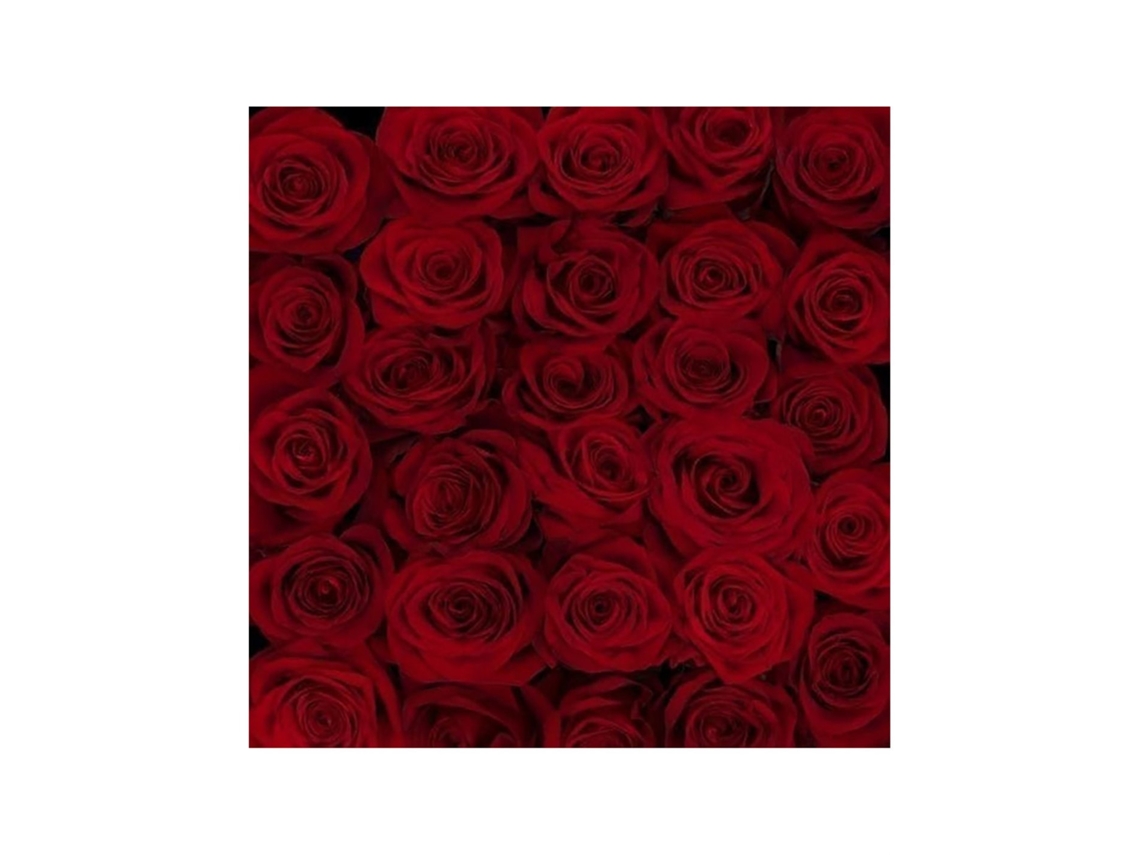 Rosas Variadas | Flor Natural | Ramo De 25 Tallos | 60cm De Alto Rojas Freedom