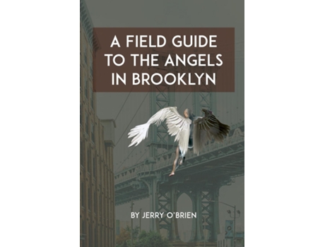 Livro A Field Guide to the Angels in Brooklyn de Jerry O'Brien (Inglês)