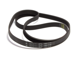 Correia 1201j6 El HUTCHINSON Indesit C00119126 para Máquina de Lavar Roupa Blj525un