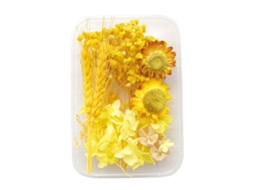 Flores Secas Amarelas, 17 Pack de 10 Peças LAXISCREED