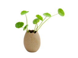 Imitação Pequena Vertical (6cm Altura 5cm Largura)