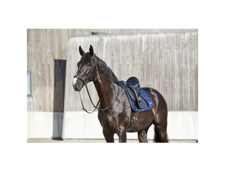 Cabeçadas de Equitação para Cavalos com Focinheira Standard Rebaixada e Almofadada HORSEGUARD Cryll 23.1