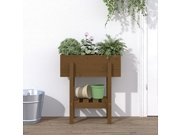 Vidaxl Vaso/floreira De Jardim 62x30x69 Cm Pinho Maciço Castanho-mel