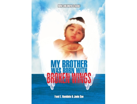 Livro My Brother Was Born With Broken Wings De Janie Sue (inglês)