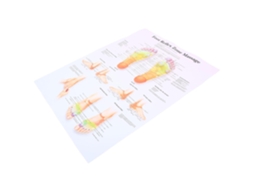 Kit De 3 Frascos Vazios Para Difusor De Aromas Automotivos Com Clipe Decorativo Para Saída De Ar - Uso