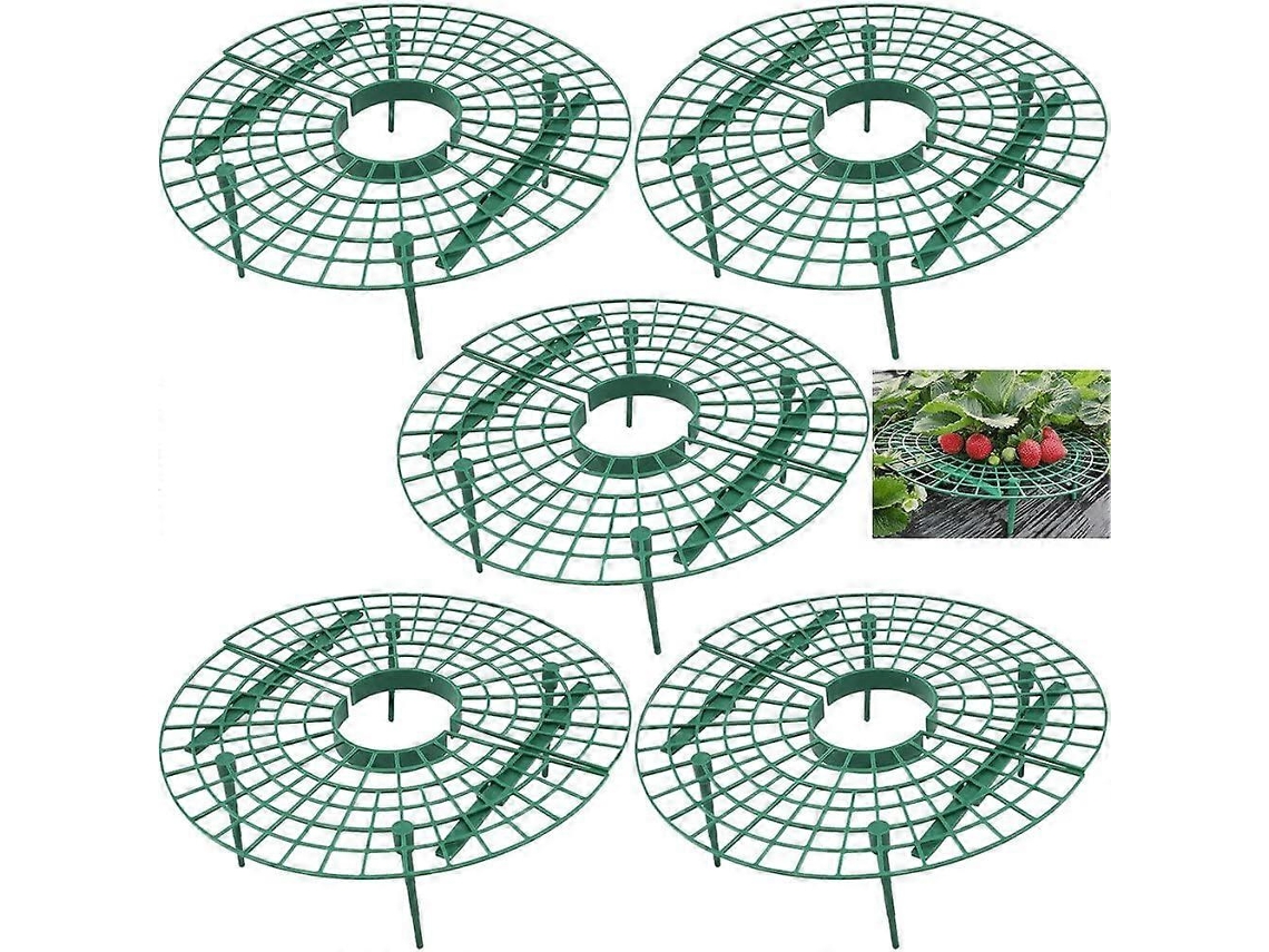 Suporte para Plantas de Morango 5 Unidades Leve S/MARCA