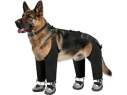Botas De Neve Cães Zabawa Sensoryczna