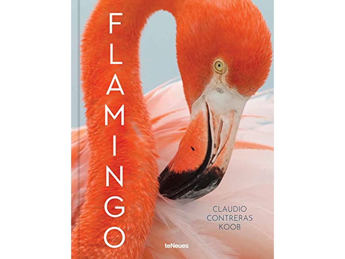 Livro Flamingo de Claudio Contreras Koob (Inglês - Capa Dura)