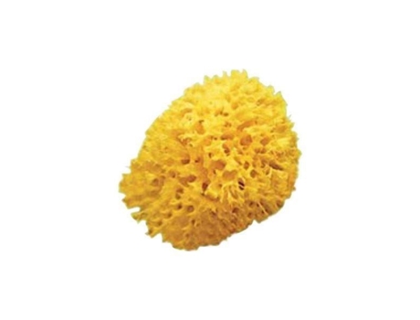 Esponja Natural Ok Baby Favo De Mel Tamanho 12 Ultra Macia Para Bebê