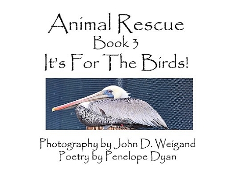 Livro Animal Rescue Book 3 Its for the Birds de Penelope Dyan (Inglês)