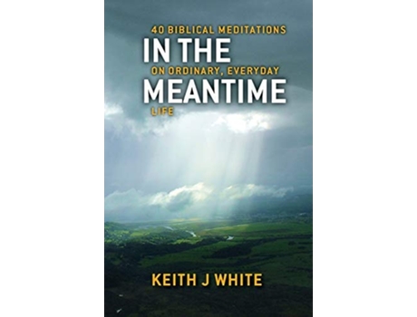 Livro In the Meantime de Keith J White (Inglês)