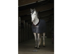 Manta para cavalos Equithème Teddy 0g