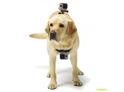 Pet Harness Câmera COMPATIBLE