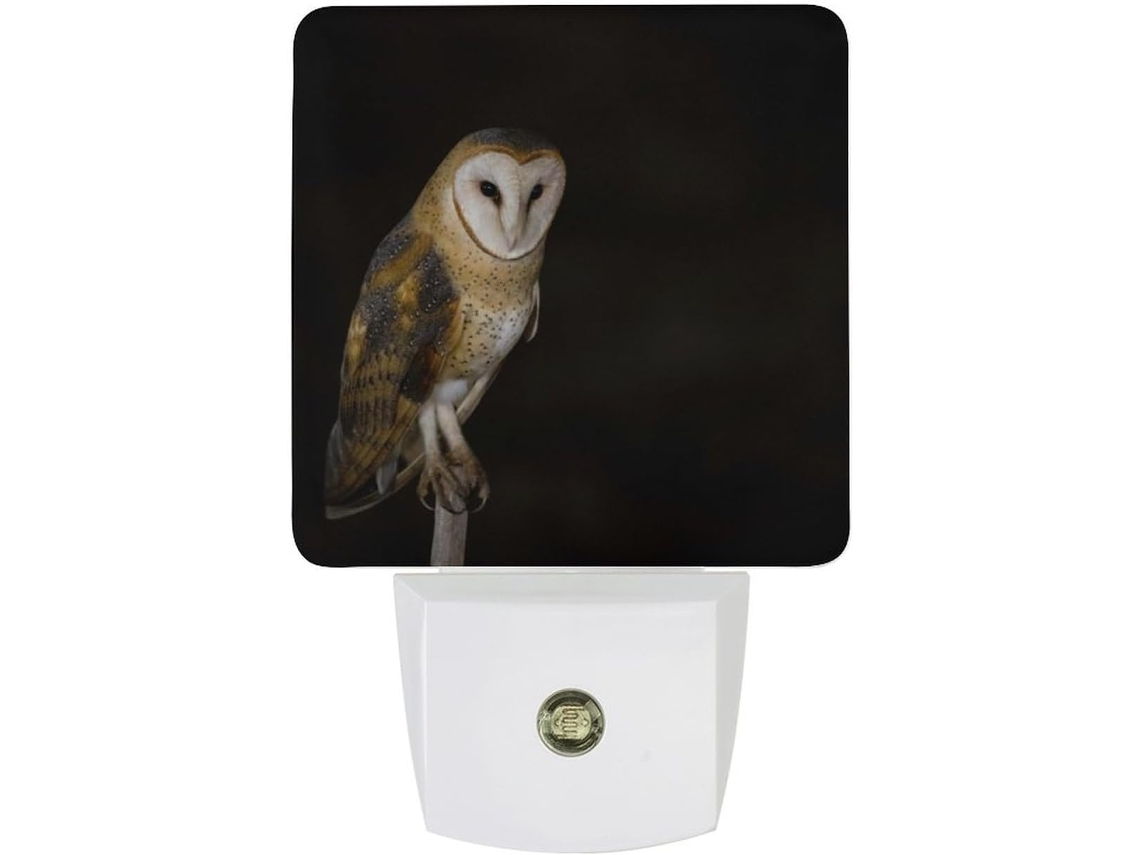 Luminária de parede noturna com plugue, em formato Coruja, LED com sensor de movimento, luz branca suave.