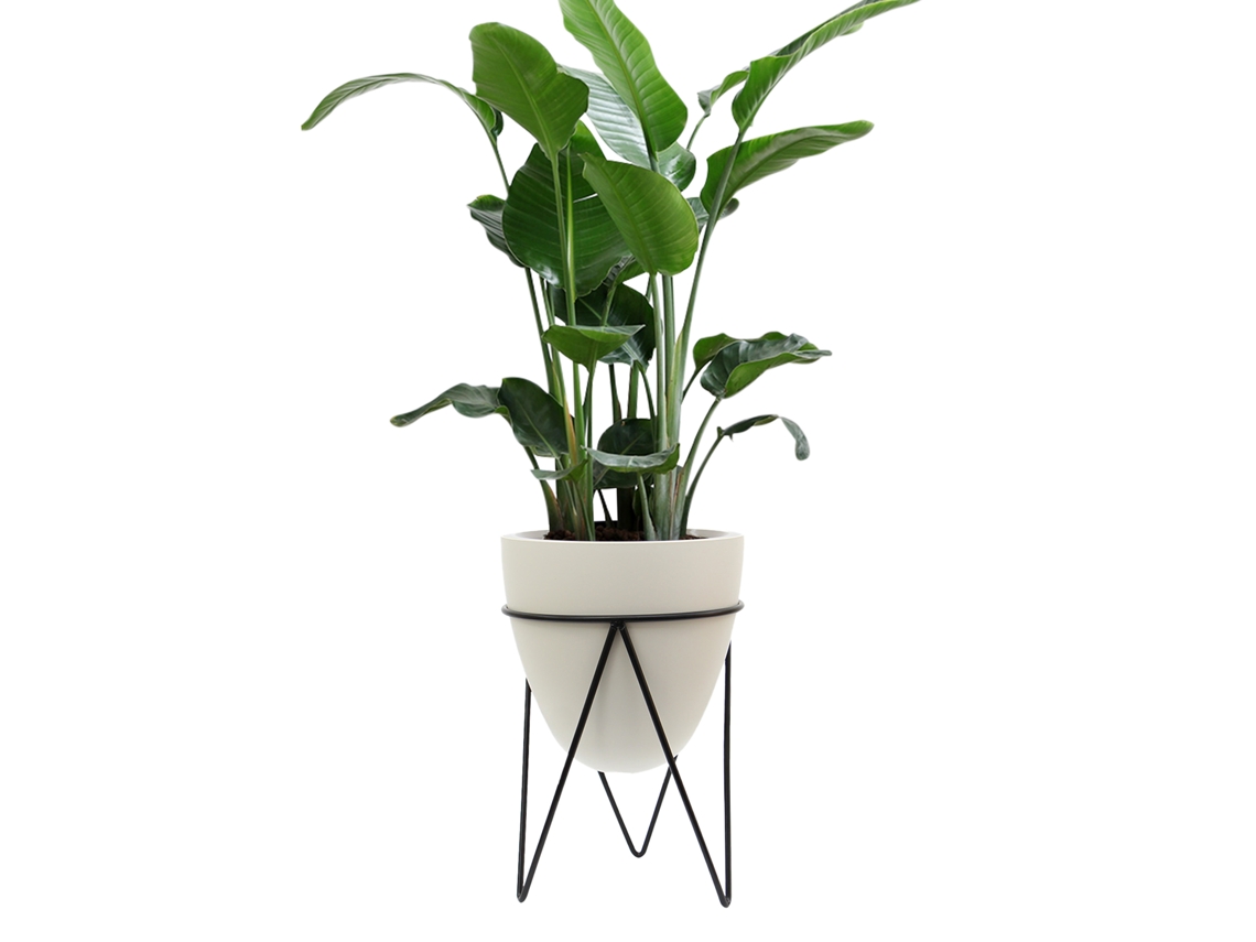 Relógio de Parede em Forma de Flor Primerox para Sala e Escritório