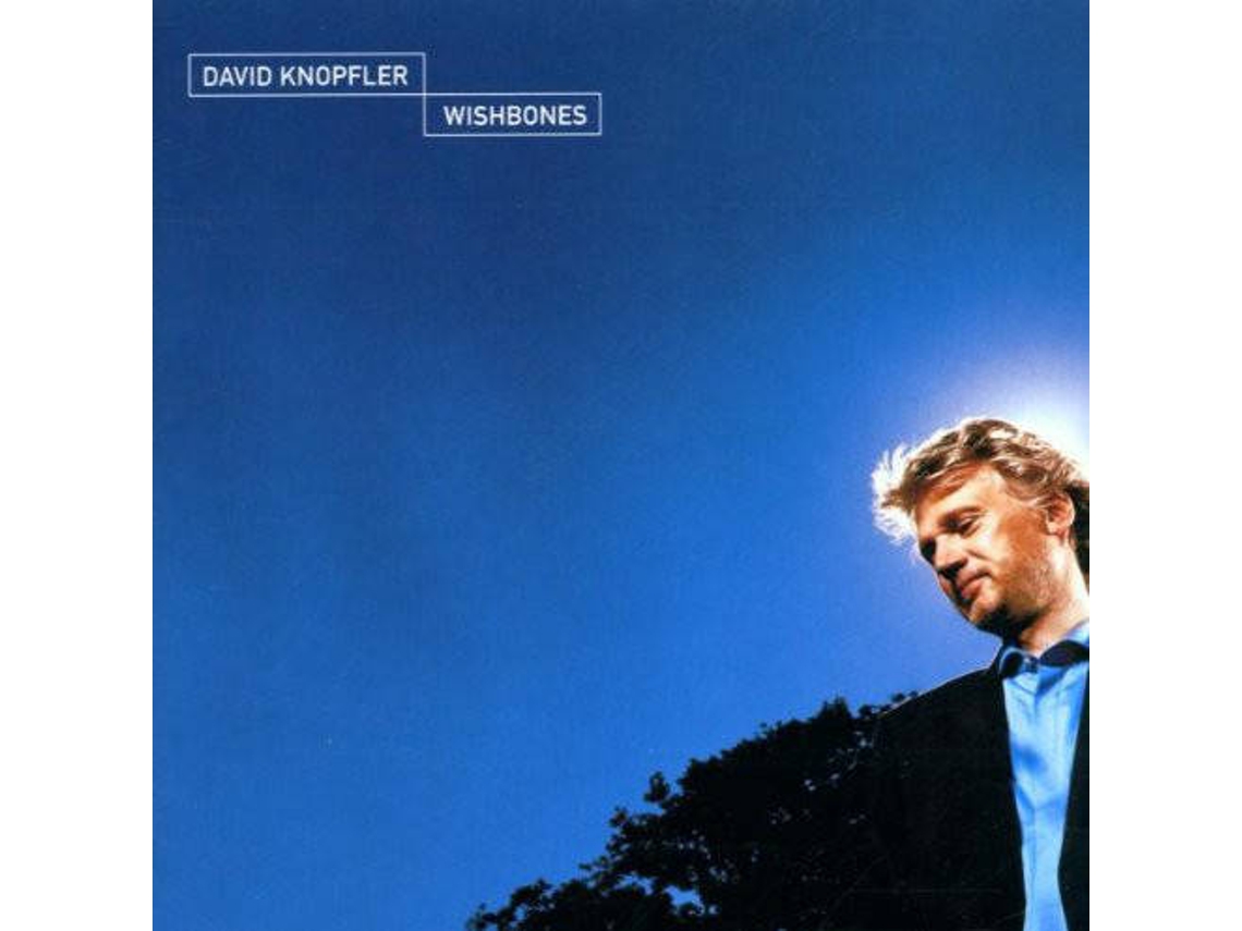 CD David Knopfler - Wishbones (1CDs)