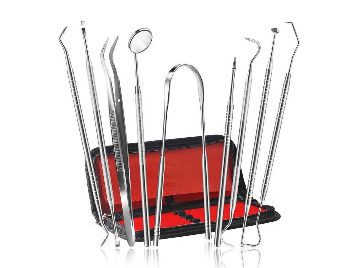 Ferramentas para Palitos Dentais Pacote com 9 Palitos de Dente em Aço Inoxidável Uso Pessoal Ou para Cuidados Orais de Animais JEDBESETZT